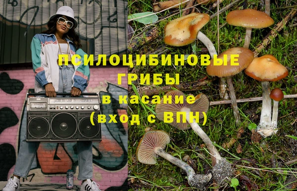 амф Надым