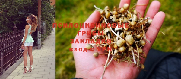 амф Надым
