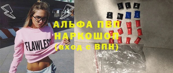 гашик Нея