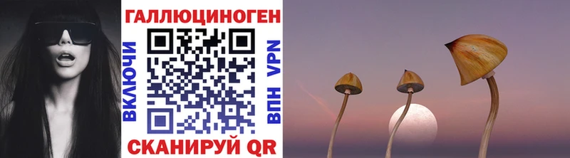 цена наркотик  Лермонтов  shop телеграм  Псилоцибиновые грибы Cubensis 