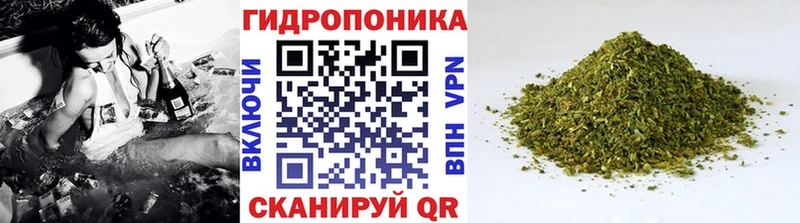 Шишки марихуана THC 21% Лермонтов